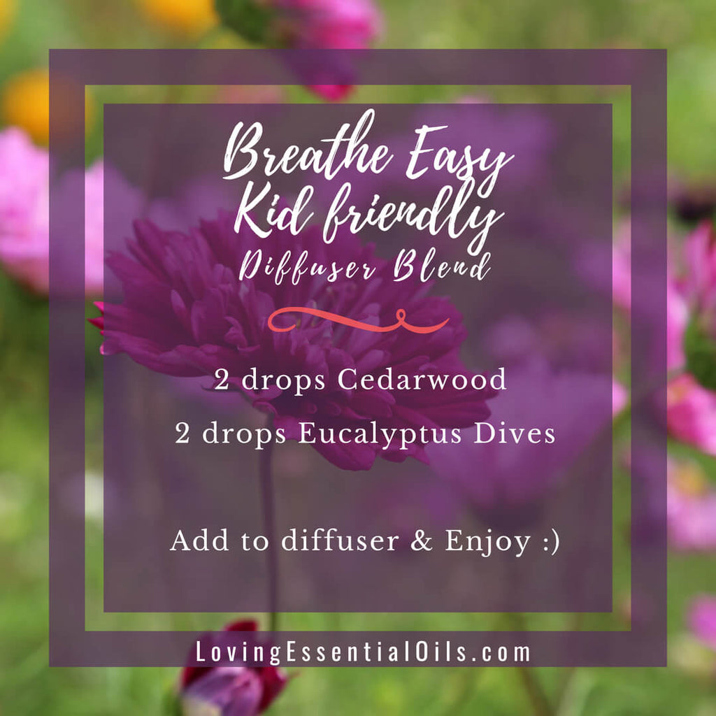 Breathe Diffuser Blend - Loving Essential Oils