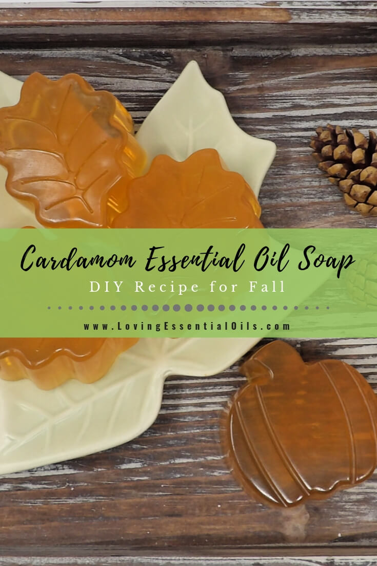 Best Cardamom Essential Oil Soap Recipe for Fall by Loving Essential Oils