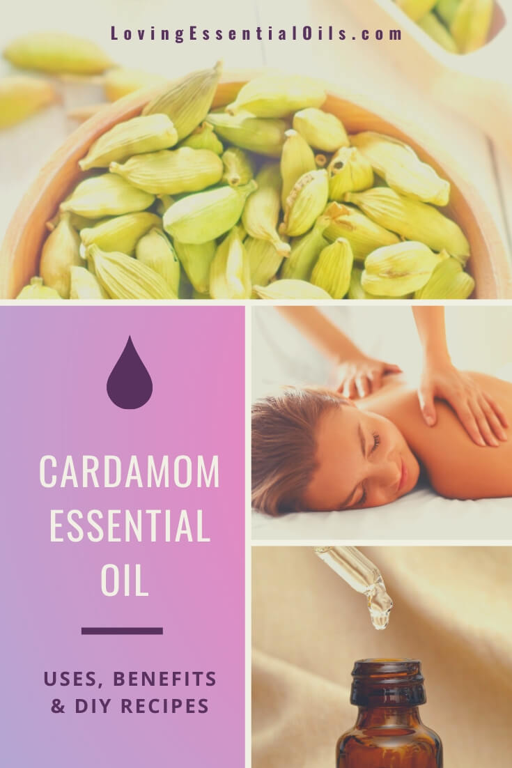 Cardamom Essential Oil Uses and Benefits - Plus DIY Recipes by Loving Essential Oils