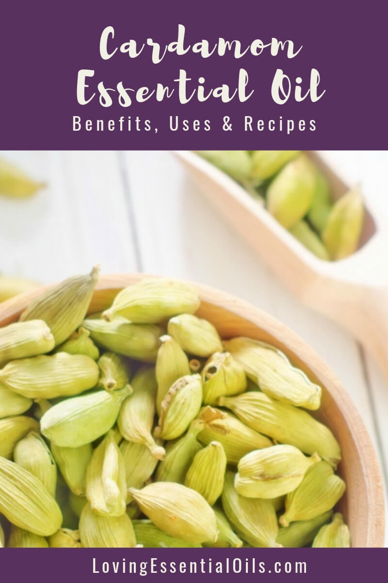 Cardamom Essential Oil Benefits and Recipes by Loving Essential Oils