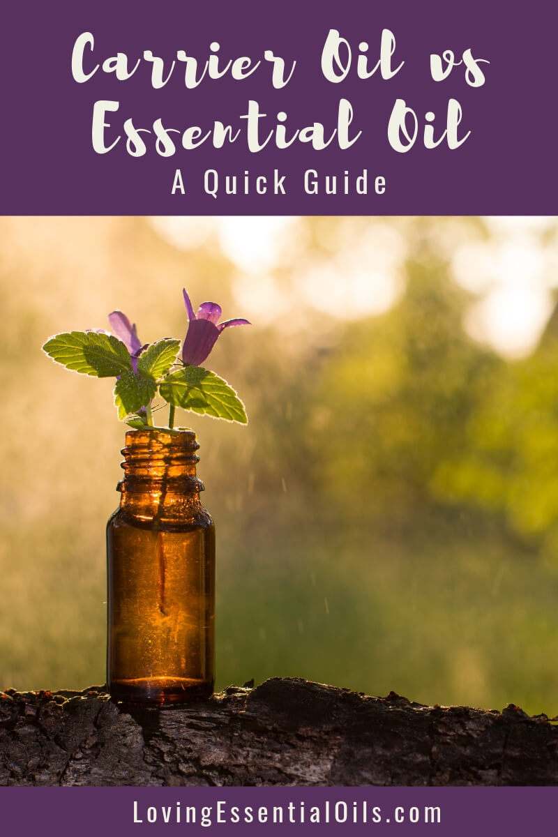 Carrier Oils vs Essential Oils - What's the Difference? A Quick Guide by Loving Essential Oils