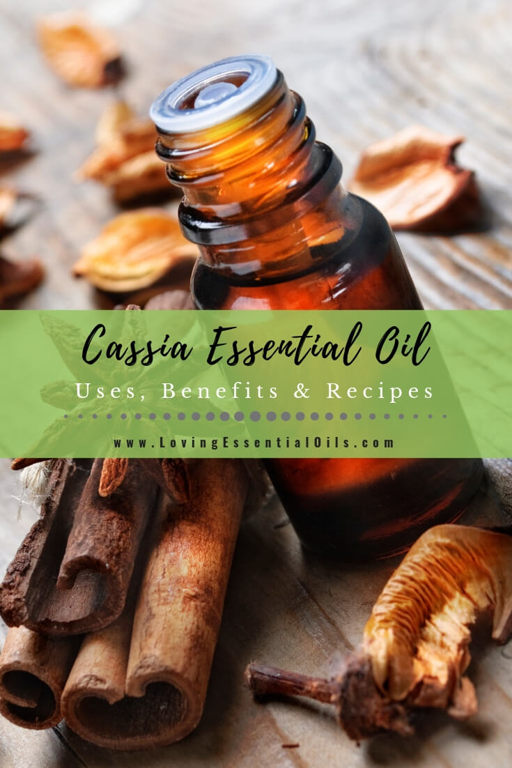 Cassia Essential Oil Recipes Spotlight by Loving Essential Oils | Cassia Diffuser Blends