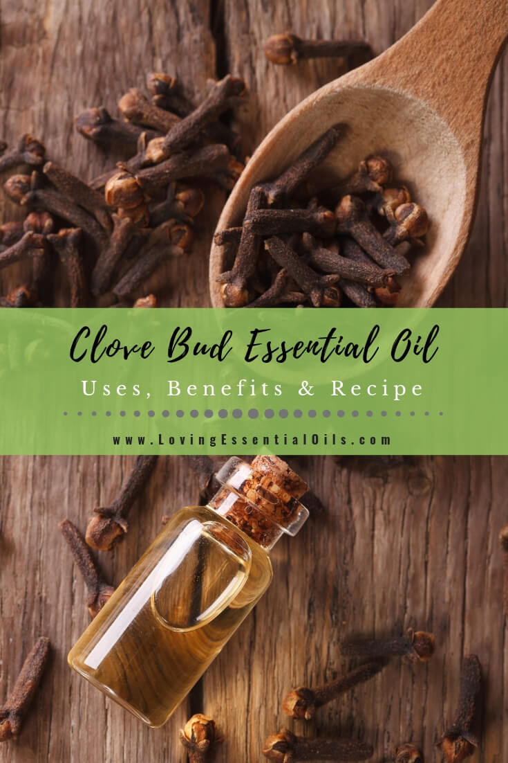 Clove Essential Oil Recipes Spotlight by Loving Essential Oils
