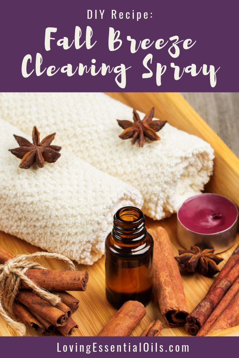 Homemade Fall Essential Oil Cleaning Spray For Your Home by Loving Essential Oils | Cinnamon, Clove & Orange essential oil