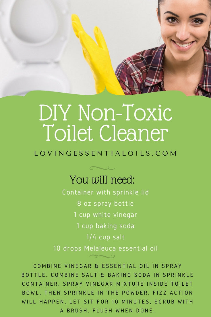DIY Non Toxic Chemical Free Toilet Bowl Cleaner Recipe