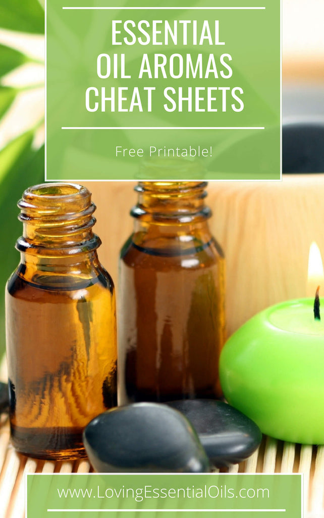Essential Oil Aroma Families - Free Printable Cheat Sheet by Loving Essential Oils