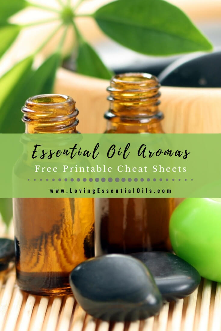 Essential Oil Scents List with Free Printable Cheat Sheet by Loving Essential Oils