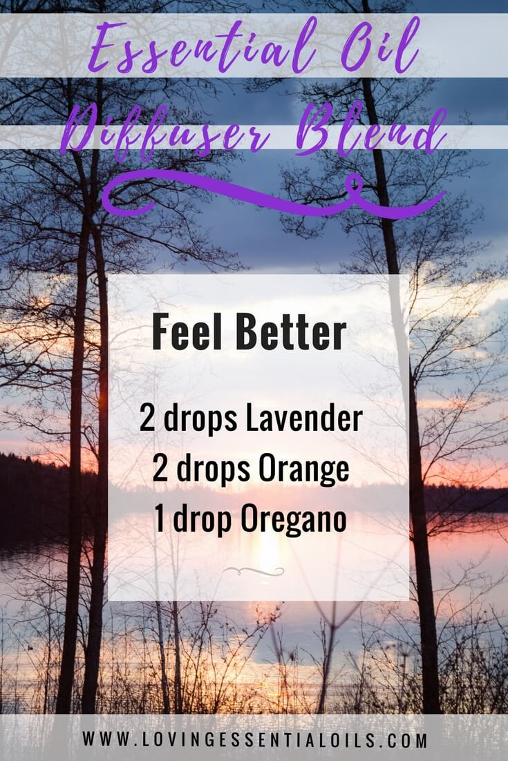 Feel Better Diffuser Blend with Oregano Essential Oil by Loving Essential Oils