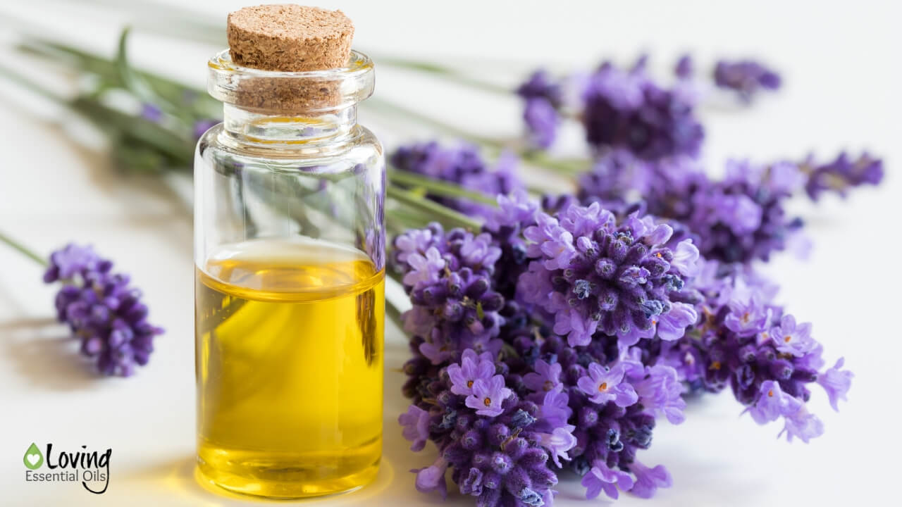 What is the Difference Between Essential Oils and Carrier Oils - A Quick Guide by Loving Essential Oils