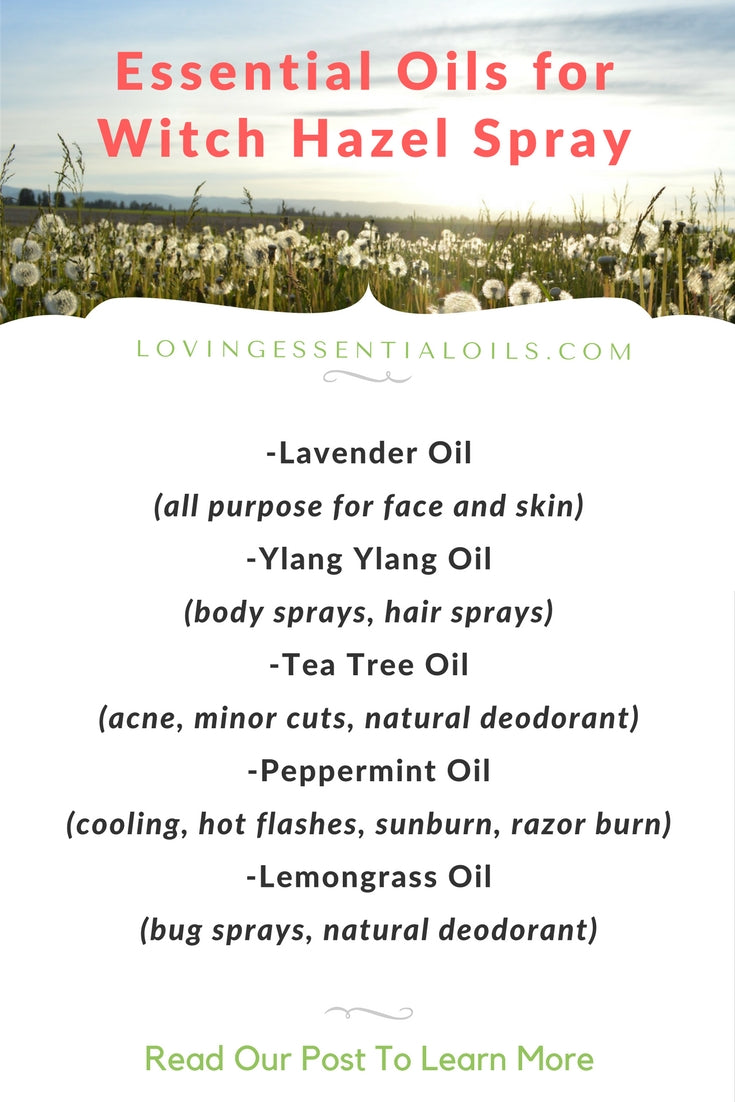 Best Essential Oils To Use With Witch Hazel by Loving Essential Oils