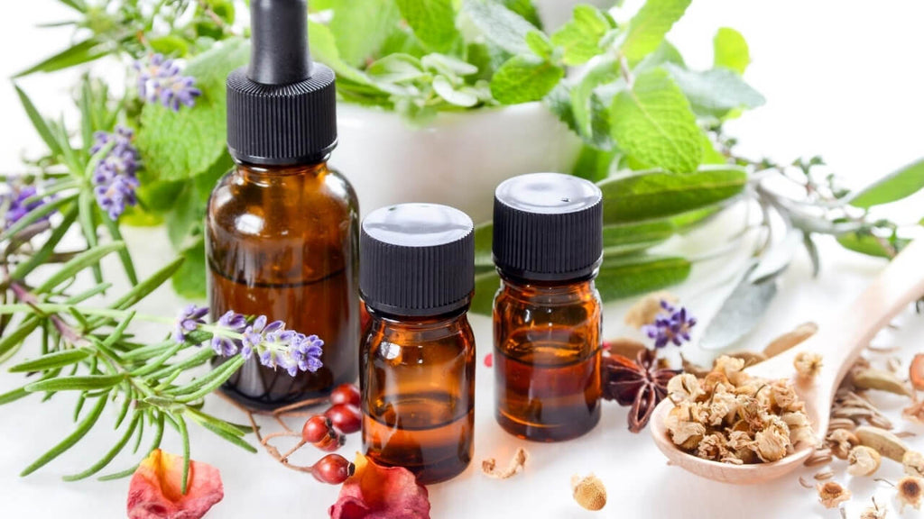 Essential Oils for Emotional Support by Lovng Essential Oils