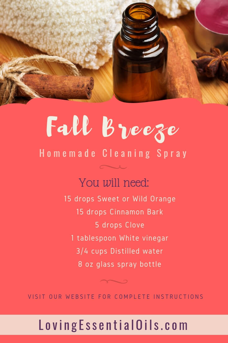 DIY Fall Breeze Essential Oil Cleaning Spray Recipe For Your Home by Loving Essential Oils | Cinnamon, Clove & Orange essential oil
