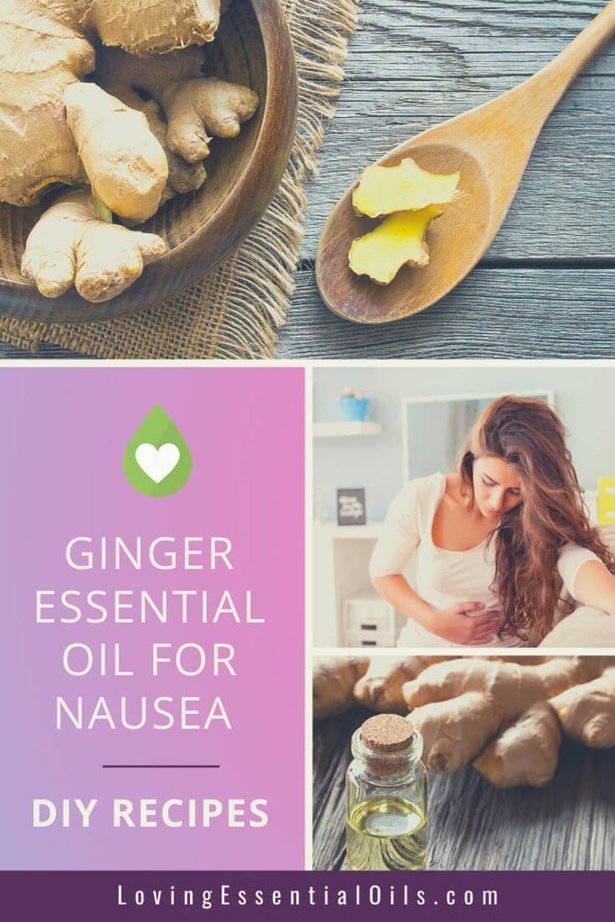 Ginger Essential Oil for Upset Stomach, Car Sickness, Vomiting, Nausea with DIY Essential Oil Blends & Recipes by Loving Essential Oils