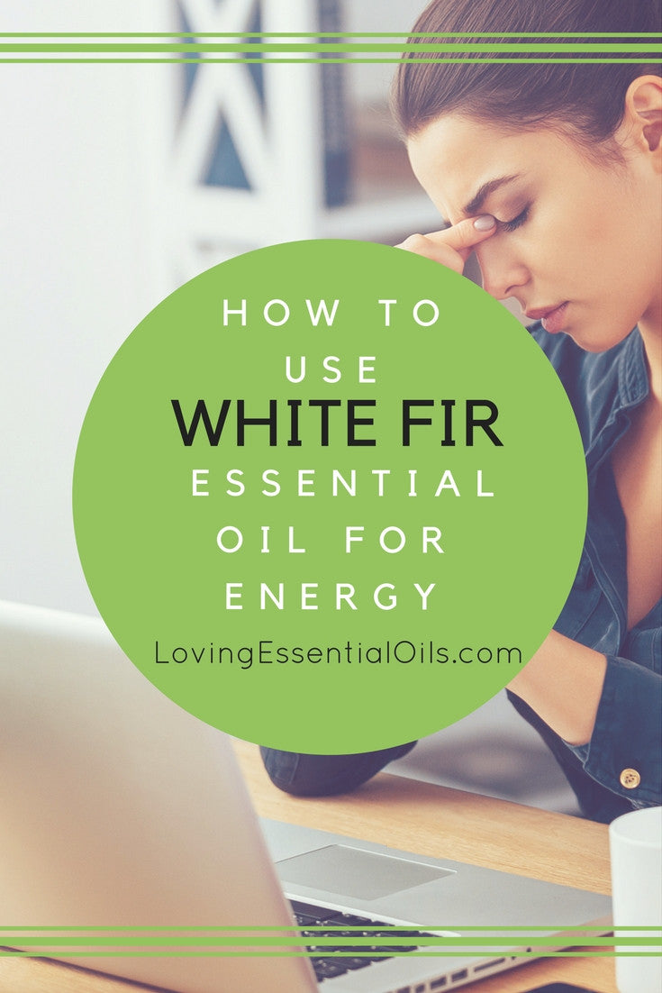 What Blends Well With White Fir? AKA Silver Fir or Fir Needle by Loving Essential Oils