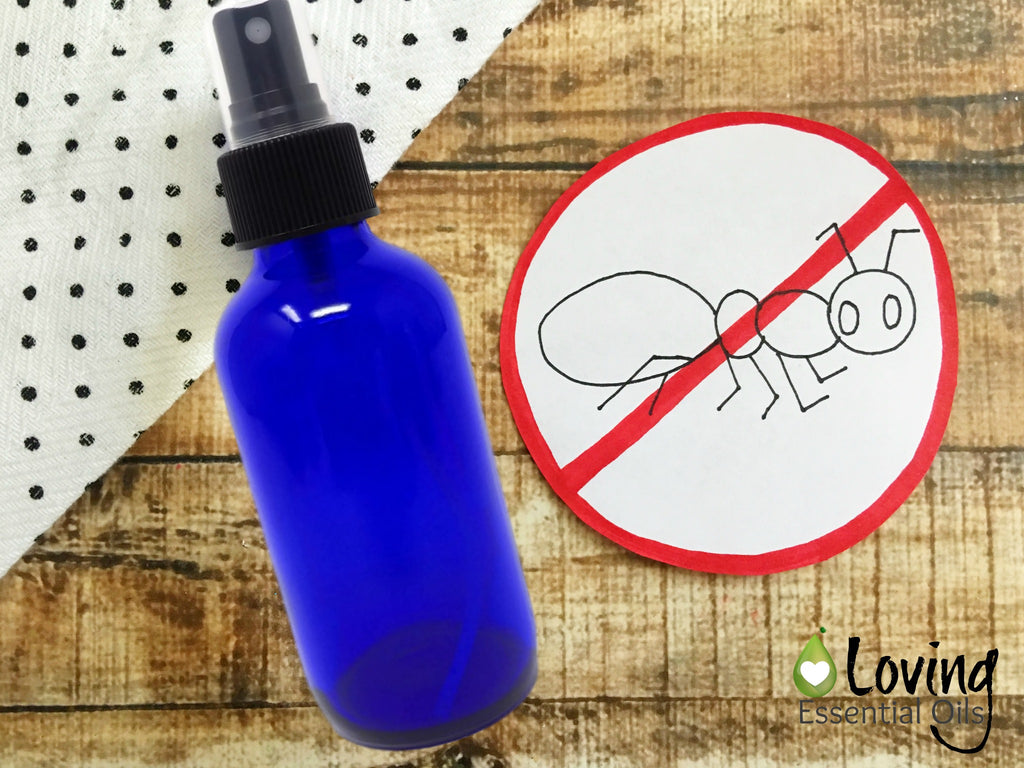 How to Keep Ants Away Without Pesticides by Loving Essential Oils