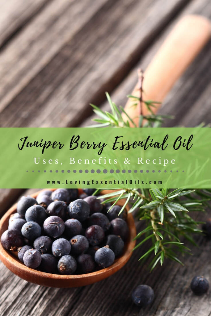Juniper Berry Essential Oil Recipes Spotlight by Loving Essential Oils