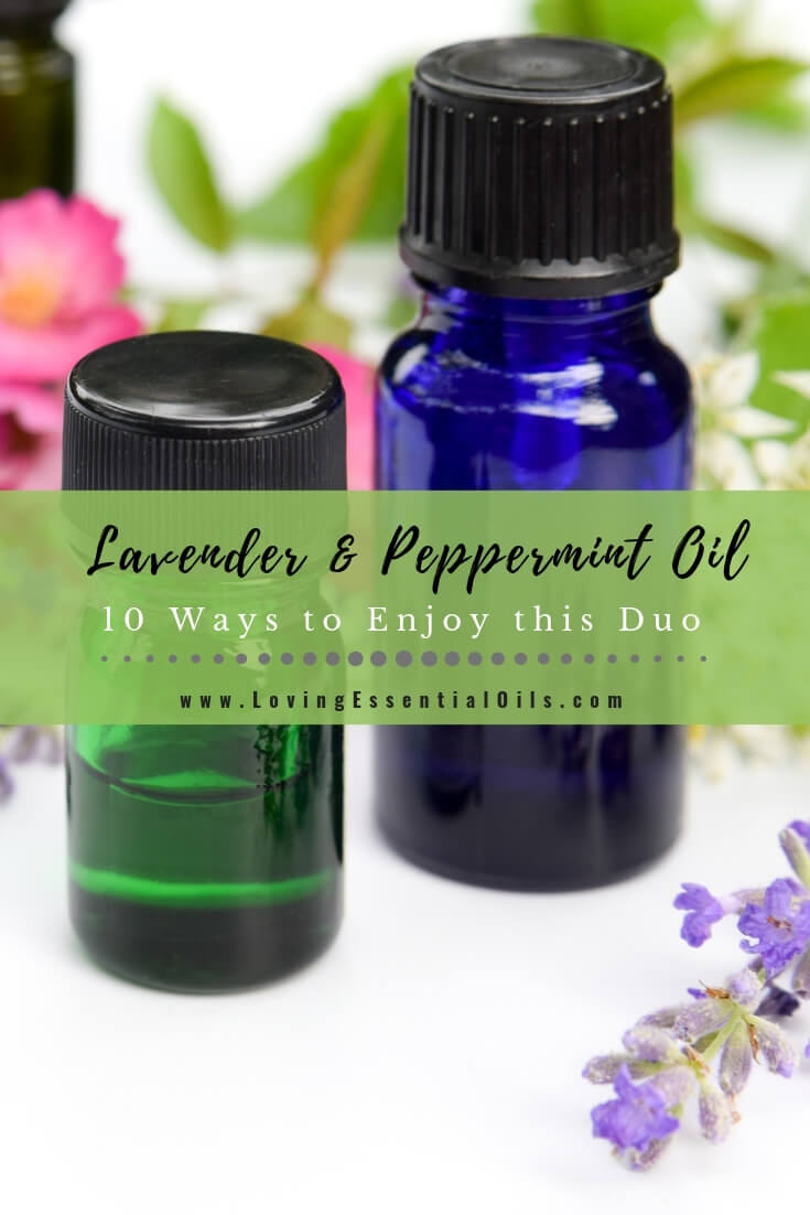 Lavender and Peppermint Essential Oil Benefits and Blend Recipes - 10 Ways to Enjoy this Powerful Duo by Loving Essential Oils