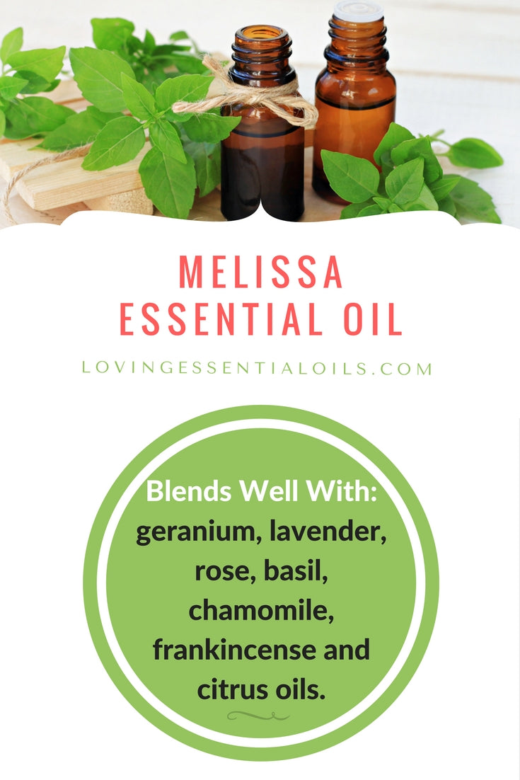 Melissa Essential Oil Blends well with by Loving Essential Oils