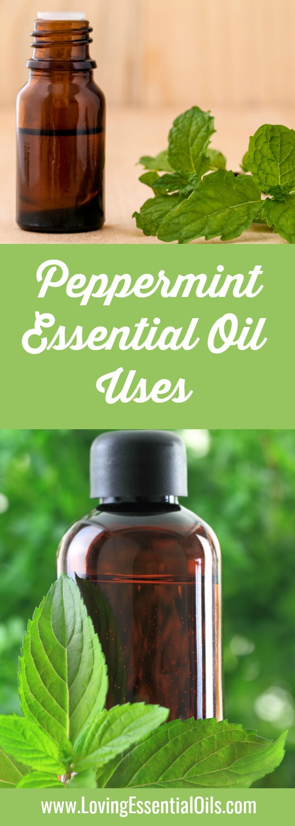Peppermint Essential Oil Recipes by Loving Essential Oils