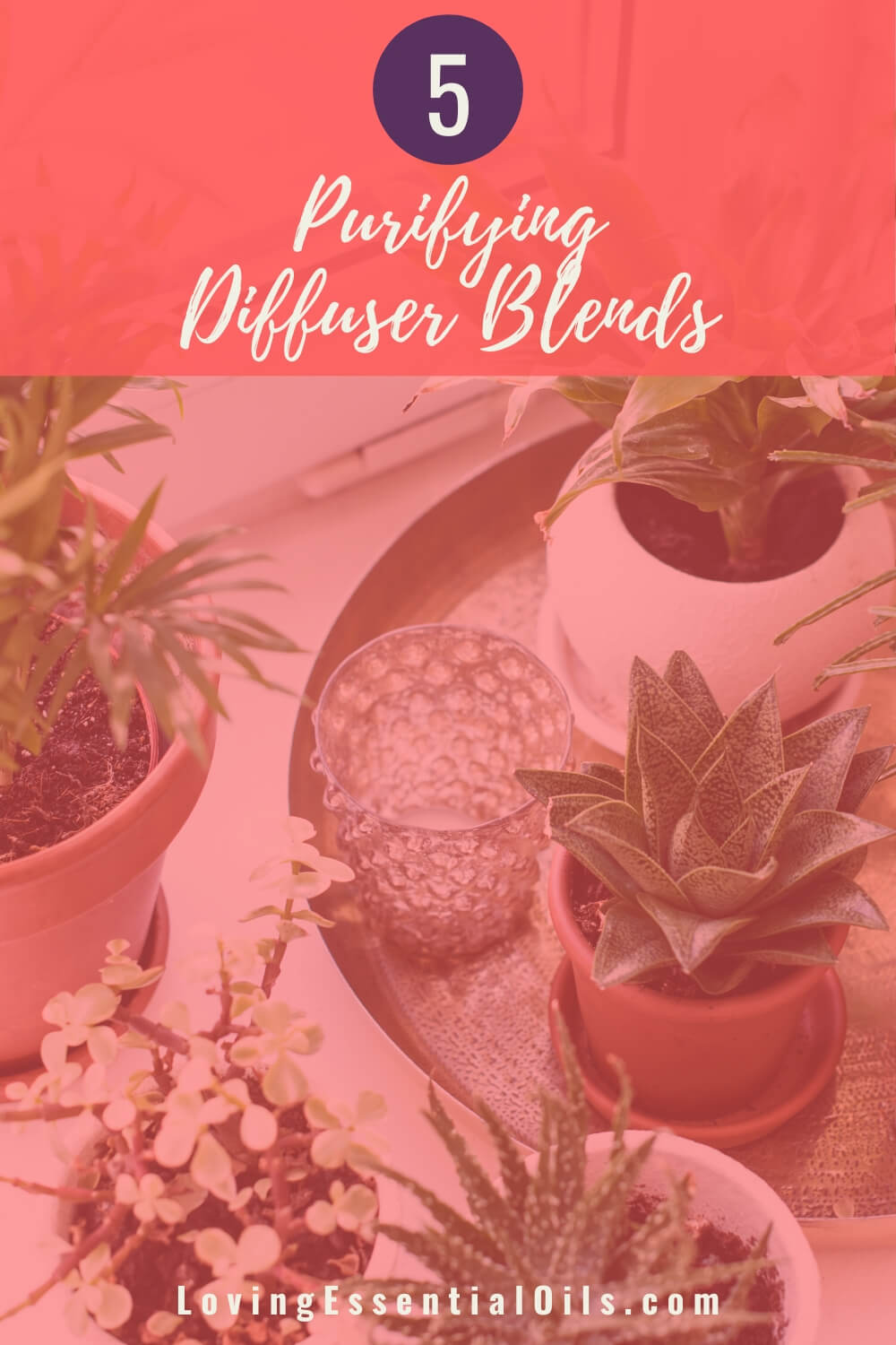 5 Purifying Diffuser Blends by Loving Essential Oils
