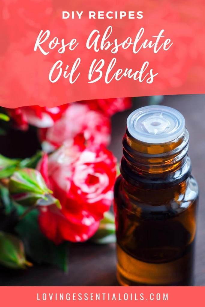 Rose Absolute Oil Blends by Loving Essential Oils