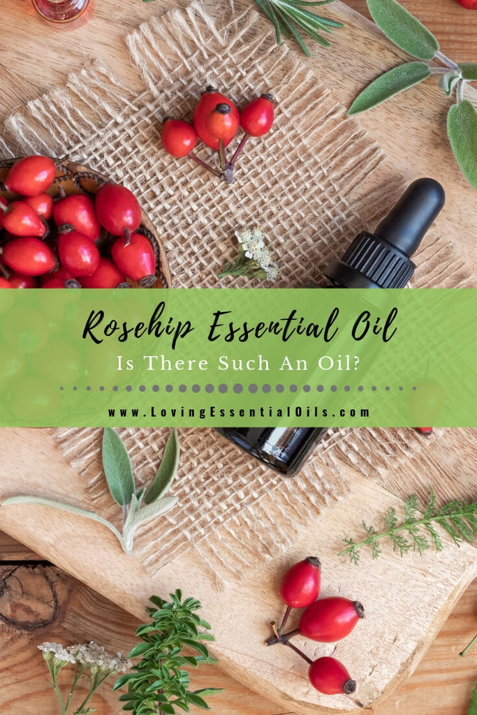 Where to buy Rosehip Essential Oil - Is There Such An Oil? by Loving Essential Oils