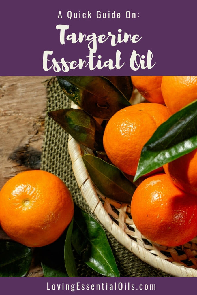 DIY Tangerine Essential Oil Blends - by Loving Essential Oils