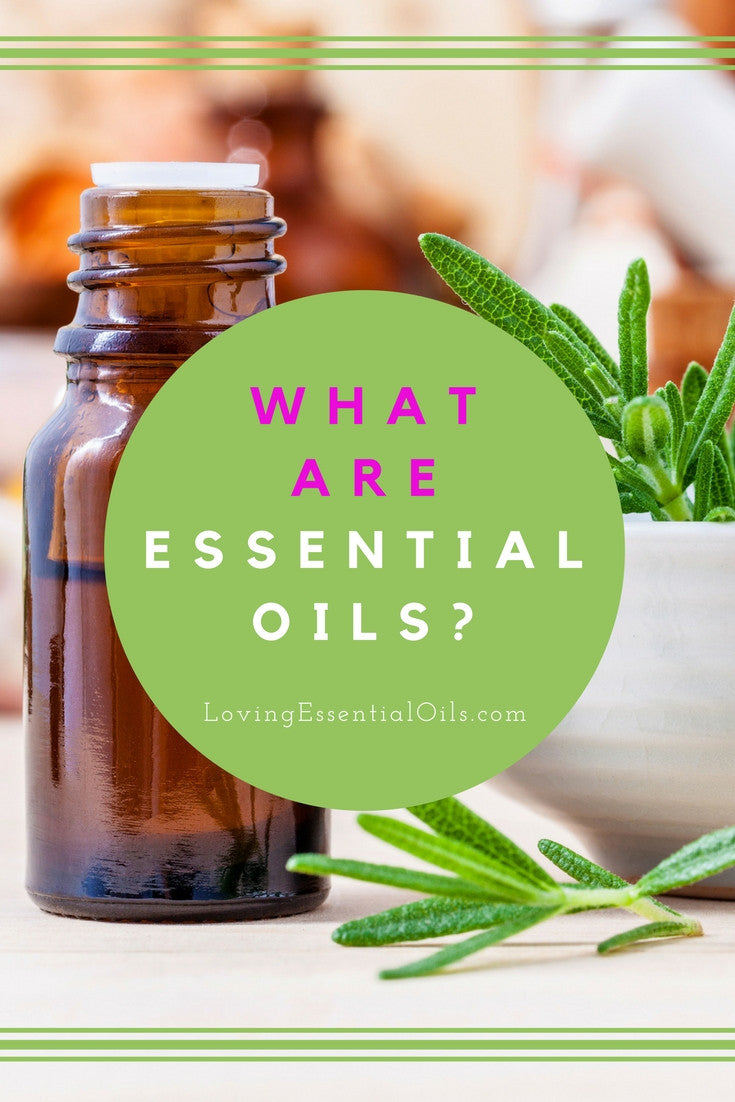 What Are Essential Oils Good For? by Loving Essential Oils