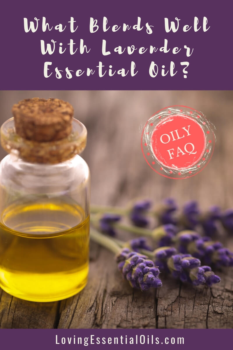 What Blends Well With Lavender Essential Oil? oily FAQ by Loving Essential Oils