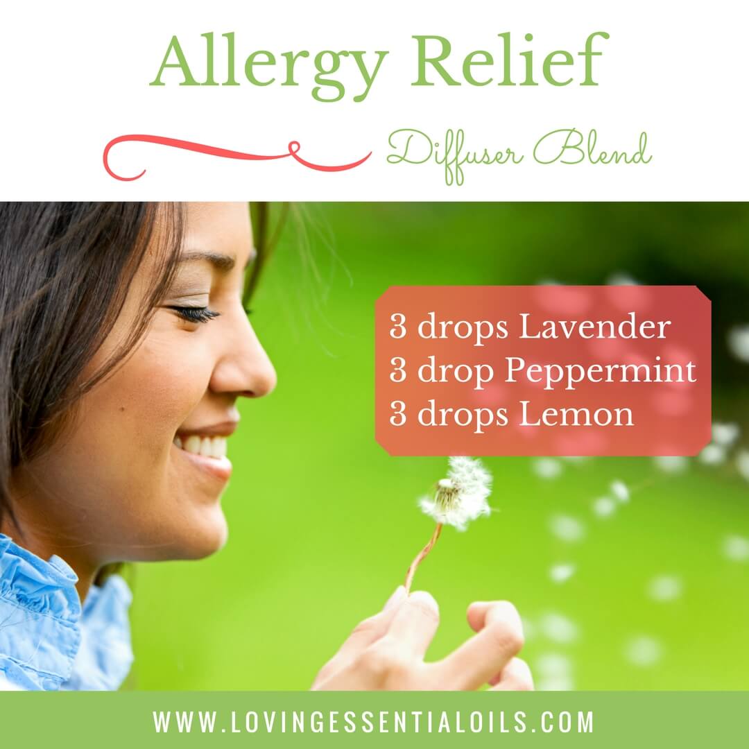 Allergy Relief Diffuser Recipe with 3 drops lavender, 3 drop peppermint and 3 drops lemon essential oil by Loving Essential Oils