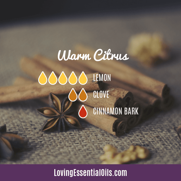 Antibacterial Essential Oils - Warm Citrus Diffuser Blend by Loving Essential Oils with lemon, clove, and cinnamon