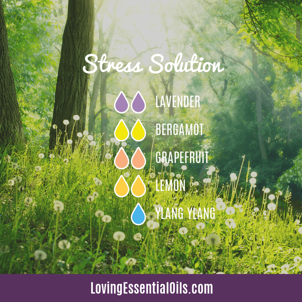 Aromatherapy Recipe for Emotions - Stress solution by Loving Essential Oils
