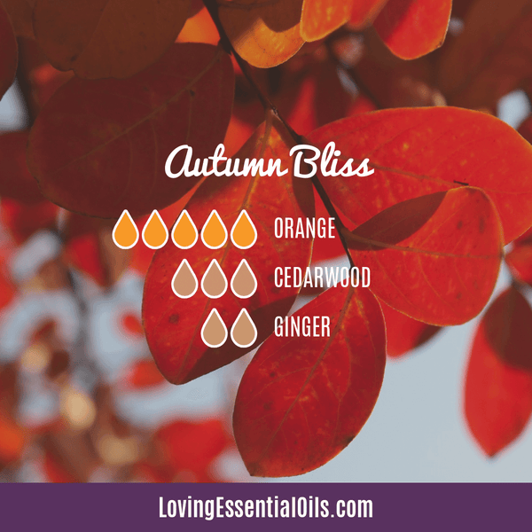 Autumn Bliss Diffuser Blend | DIY Essential Oil Hand Soap by Loving Essential Oils