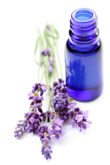 Lavender Oil - Loving Essential OIls - Aromatherapy Blog and Essential Oil Website