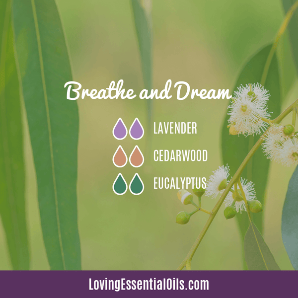 Breathe and Dream diffuser blend by Loving Essential Oils - Cedarwood, lavender, eucalyptus