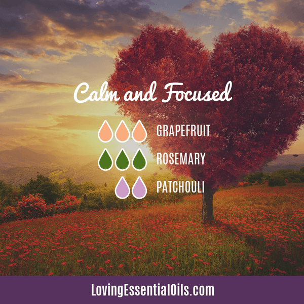 Calm and Focused Diffuser Blend by Loving Essential Oils