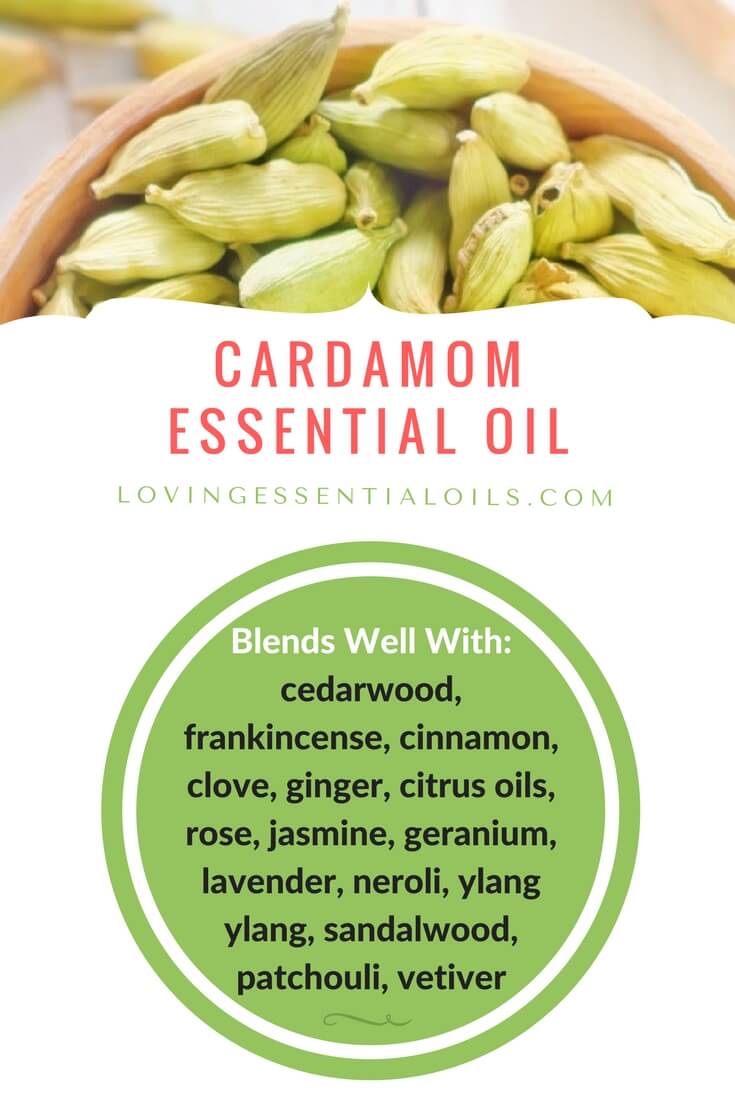 Cardamom Essential Oil blends well with | Cardamom Essential Oil Spotlight by Loving Essential Oils