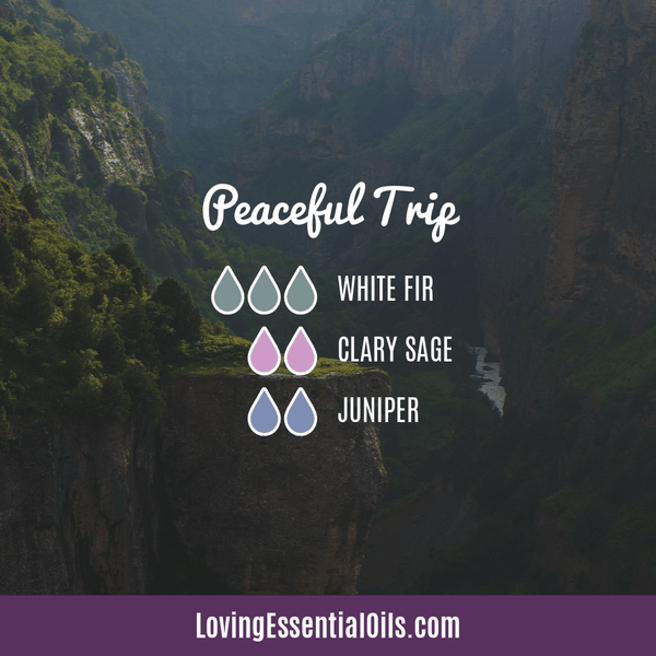 Essential Oil Diffuser Blends for Clary Sage - Peaceful Trip with white fir, clary sage, and juniper essential oil