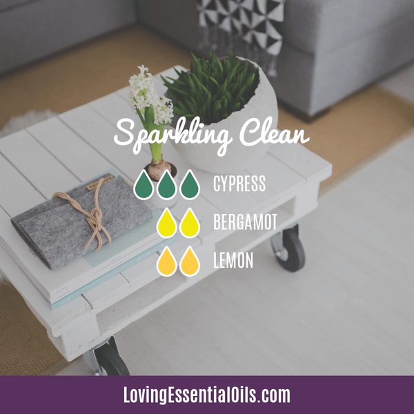 Clean Air Diffuser Blends - Sparkling Clean by Loving Essential Oils