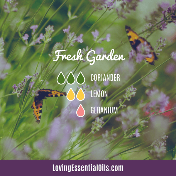 Coriander Essential Oil Emotional Benefits by Loving Essential Oils | Fresh Gareden Diffuser Blend