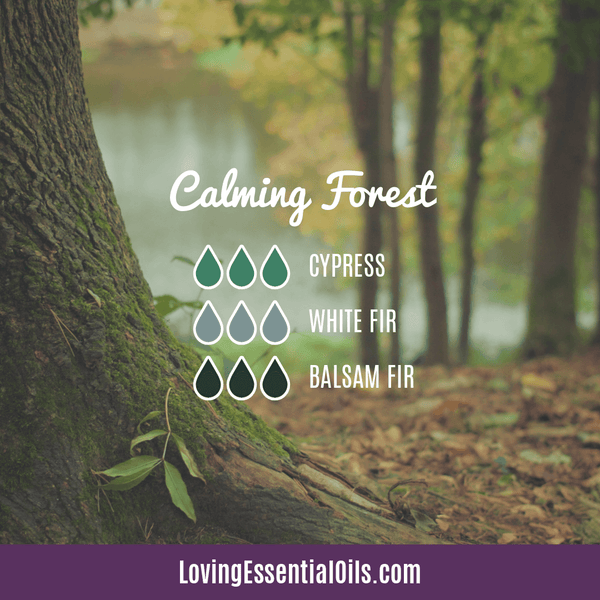 Cypress Oil Diffuser Blends - Boost Mood & Breathe Easy! by Loving Essential Oils | Calming Forest with cypress, white fir and balsam fir essential oil