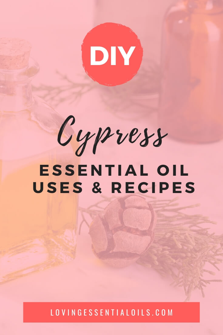 Cypress Essential Oil Benefits by Loving Essential Oils