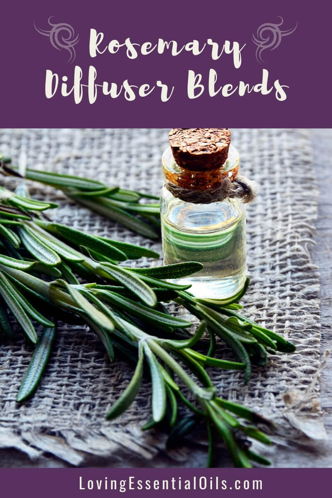 Diffuser Blends with Rosemary Essential Oil by Loving Essential Oils | Rosemary essential oil can be used in an aromatherapy diffuser to promote healthy respiratory function and improve mental clarity