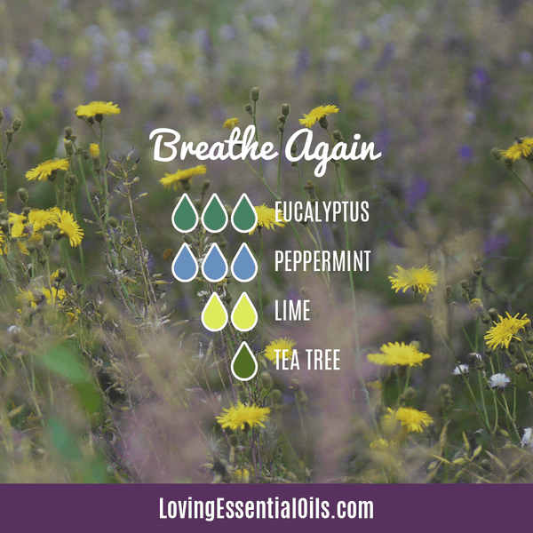 Benefits of Peppermint Essential Oil in Diffuser Blends by Loving Essential Oils | Breathe Again Diffuser Blend