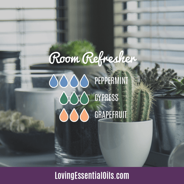 Benefits of Diffusing Peppermint Essential Oil with Diffuser Blends by Loving Essential Oils | Room Refresher Diffuser Blend