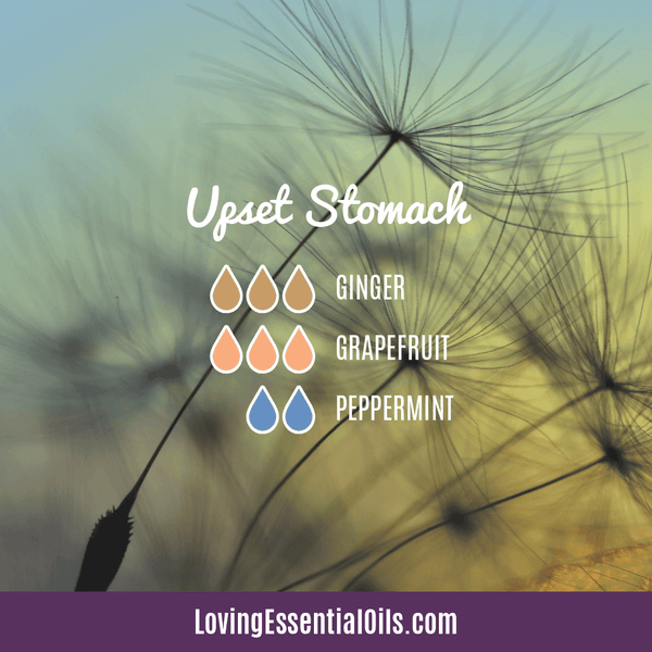 Peppermint Diffuser Blends by Loving Essential Oils | Upset Stomach Diffuser Blend