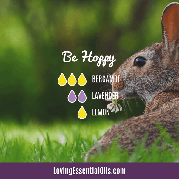 6 Egg-citing Easter Oil Diffuser Blends To Enjoy by Loving Essential Oils | Be Hoppy diffuser blend with bergamot, lavender and lemon essential oil