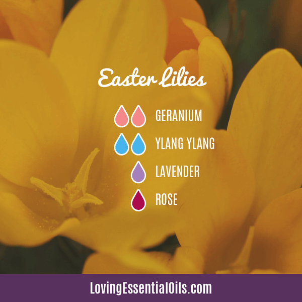 Diffuser Blends For Easter Day To Enjoy by Loving Essential Oils | Easter Lilies diffuser blend with geranium, ylang ylang, lavender, and rose essential oil
