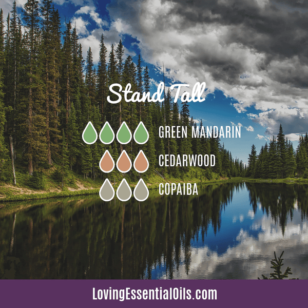 Essential Oil Blend for Strength - Stand Tall by Loving Essential Oils