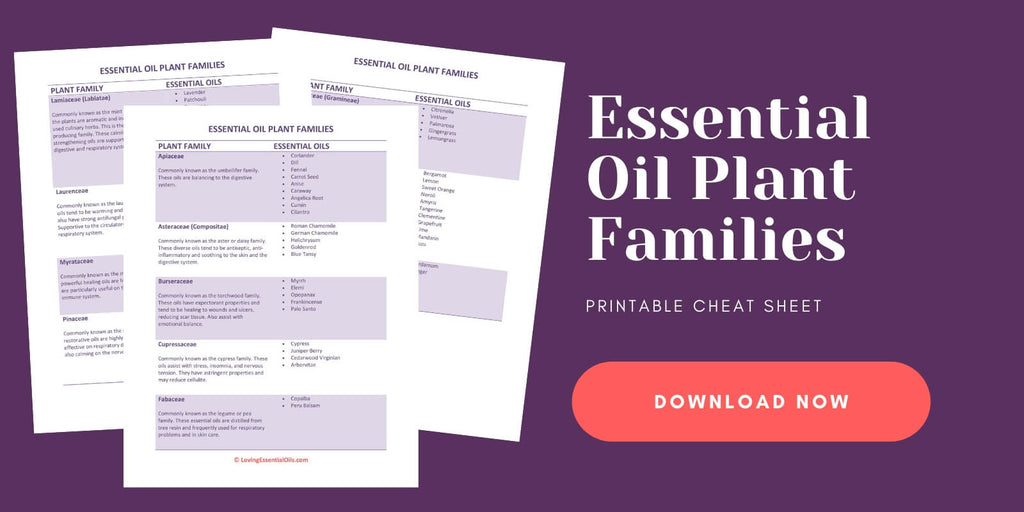 Essential Oil Plant Families - Free Printable by Loving Essential Oils